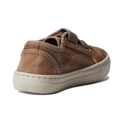 클락스 Cienta Kids Shoes 83777 (Toddleru002FLittle Kidu002FBig Kid)