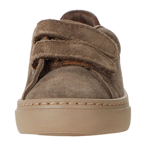 클락스 Cienta Kids Shoes 90887 (Toddleru002FLittle Kidu002FBig Kid)