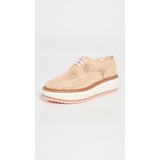 Clergerie Lace Up Oxfords