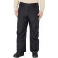 Columbia Big & Tall Bugaboo IV Pants