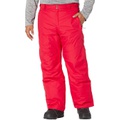 Columbia Big & Tall Bugaboo IV Pants