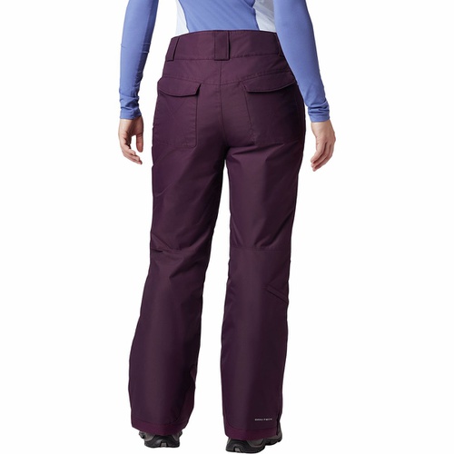 콜롬비아 Columbia Bugaboo Omni-Heat Pant - Women