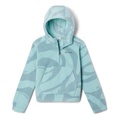 Columbia Kids Benton Springs Hooded 1/2 Zip (Little Kids/Big Kids)