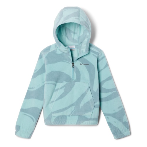 콜롬비아 Columbia Kids Benton Springs Hooded 1/2 Zip (Little Kids/Big Kids)