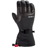 DAKINE Phoenix GORE-TEX Glove - Men