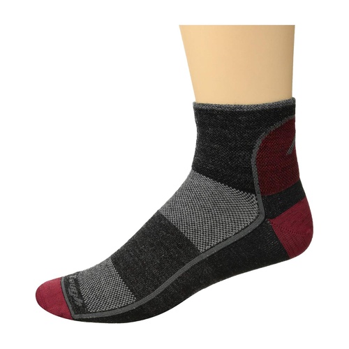  Darn Tough Vermont Merino Wool 1/4 Sock Mesh