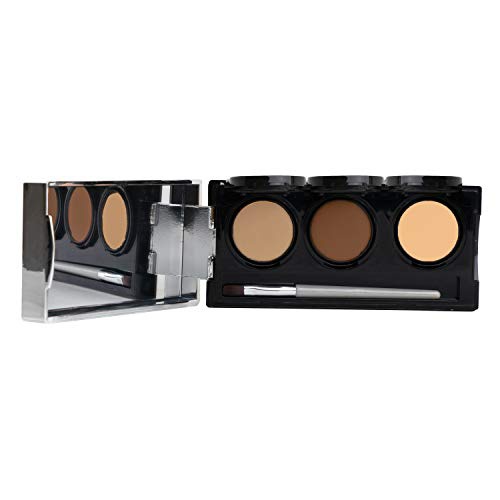  Full Coverage Concealer Palette, Waterproof Concealer Cream, 3 Colors + Brush, by Dermaflage