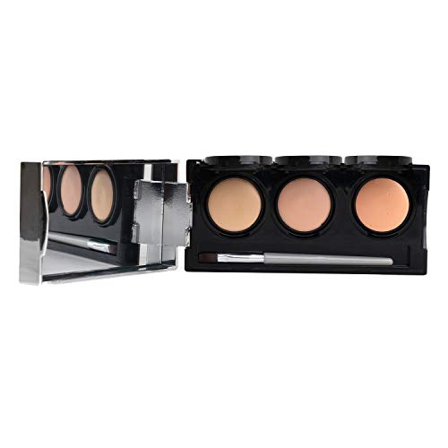  Full Coverage Concealer Palette, Waterproof Concealer Cream, 3 Colors + Brush, by Dermaflage