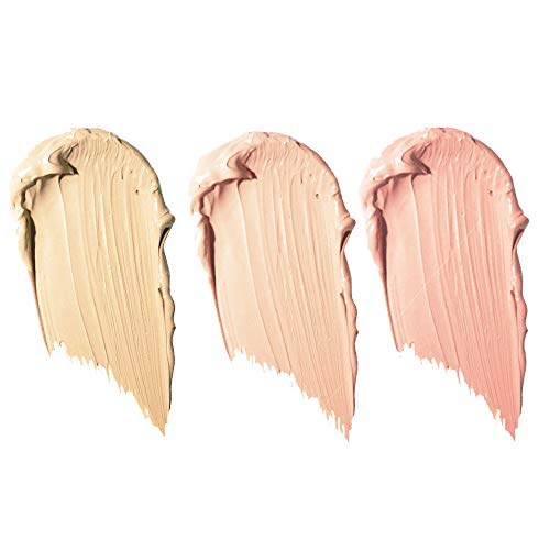  Full Coverage Concealer Palette, Waterproof Concealer Cream, 3 Colors + Brush, by Dermaflage