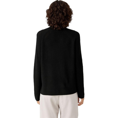  Eileen Fisher Turtleneck Raglan Merino Sweater