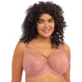 elomi Brianna Underwire Strappy Plunge Bra