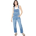 Free People We The Free Ziggy Denim Overalls