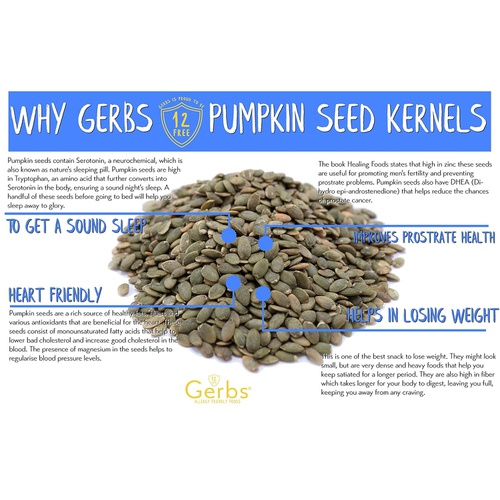  GERBS Lightly Sea Salted Pumpkin Seed Kernels, 32 ounce Bag, Roasted, Top 14 Food Allergen Free, Non GMO, Vegan, Keto, Paleo Friendly