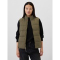 ColdControl Puffer Vest