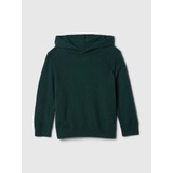 babyGap CashSoft Sweater Hoodie