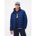 ColdControl Puffer Jacket