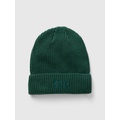 Gap Logo Beanie