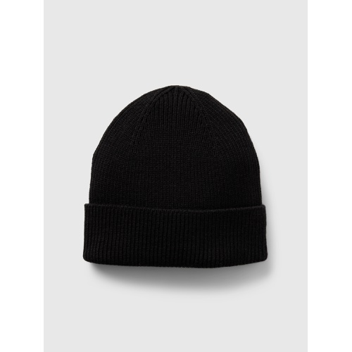 갭 Ribbed Beanie