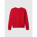 Kids Relaxed CashSoft Crewneck Sweater