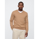 Cotton V-Neck Sweater