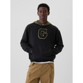 Colorblock Varsity Logo Hoodie