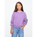 Kids Vintage Soft Sweatshirt