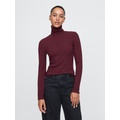 Modern Rib Turtleneck