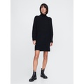 CashSoft Rib Turtleneck Mini Sweater Dress