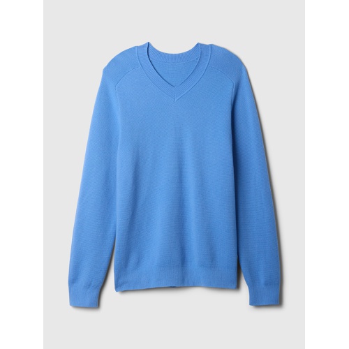 갭 CashSoft V-Neck Sweater