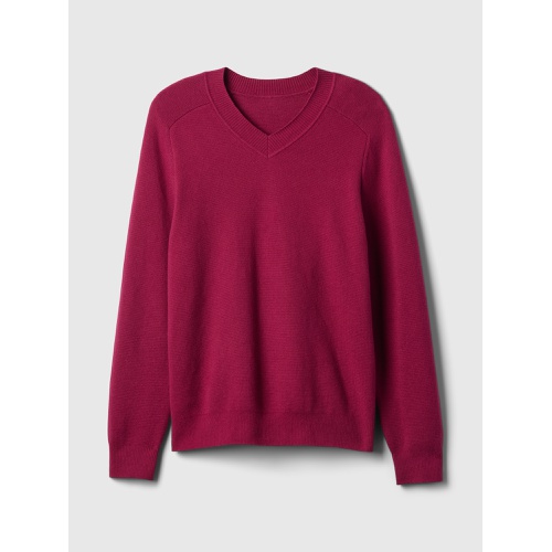 갭 CashSoft V-Neck Sweater