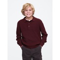 Kids CashSoft Rib Polo Sweater