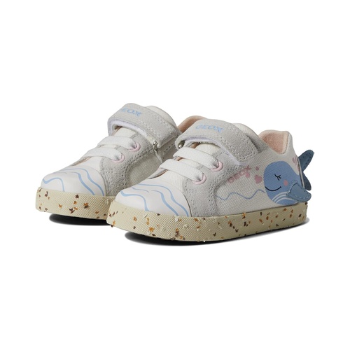 제옥스 Geox Kids Kilwi 161 (Toddler)