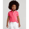 Cotton Mesh Polo Shirt