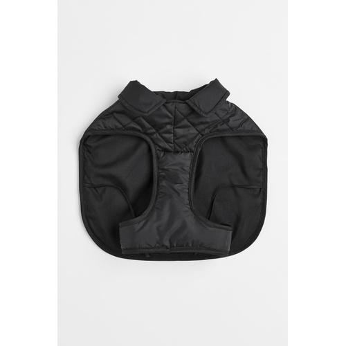 에이치앤엠 H&M Quilted Dog Jacket