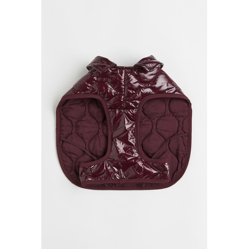 에이치앤엠 H&M Quilted Dog Jacket