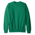 Hanes Mens EcoSmart Sweatshirt