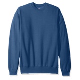 Hanes Mens EcoSmart Sweatshirt