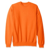 Hanes Mens EcoSmart Sweatshirt