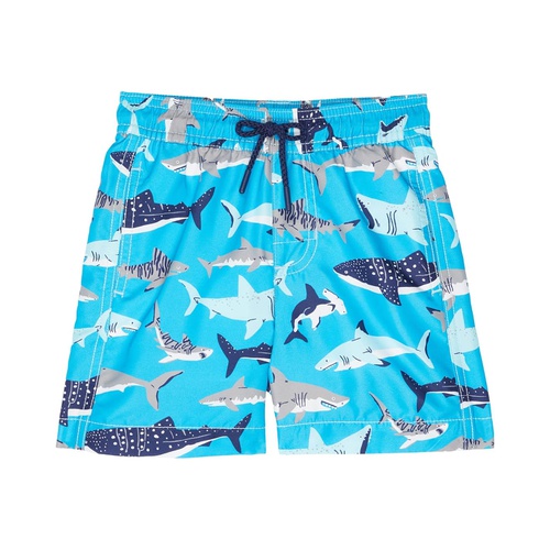 해틀리 Hatley Kids Deep Sea Sharks Swim Trunks (Toddleru002FLittle Kidsu002FBig Kids)