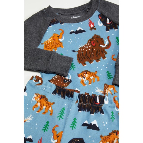 해틀리 Hatley Kids Ice Age Organic Cotton Raglan PJ Set (Toddleru002FLittle Kidsu002FBig Kids)