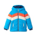 Hatley Kids Retro Winter Puffer Jacket (Toddleru002FLittle Kidsu002FBig Kids)