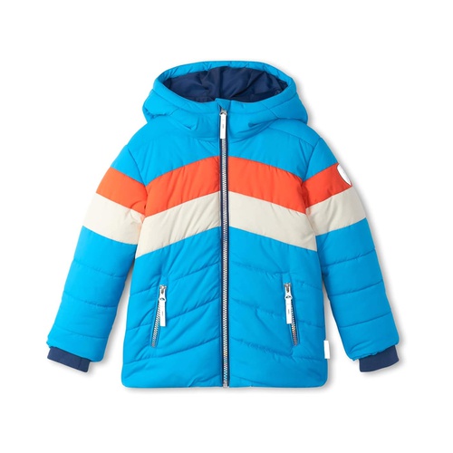 해틀리 Hatley Kids Retro Winter Puffer Jacket (Toddleru002FLittle Kidsu002FBig Kids)