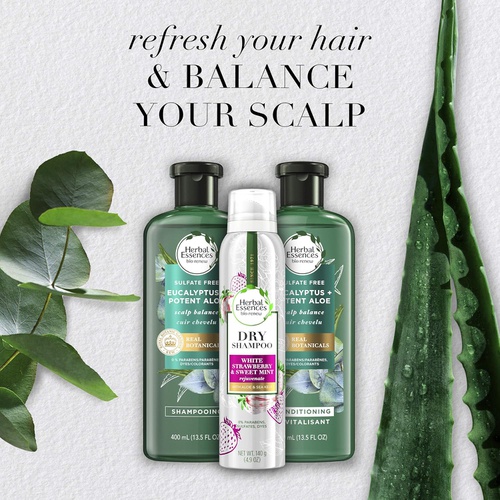  Herbal Essences BioRenew Eucalyptus and Aloe Shampoo, Conditioner & Dry Shampoo, Refresh and Balance Your Scalp, Sulfate Free, Color Safe, 13.5 Oz Each, 4.9 Oz