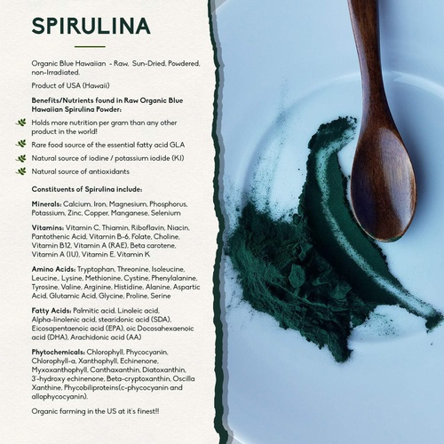 Blue Spirulina Powder by Holistic Bin Organic Blue Green Algae Powder for Supplements, Smoothies, & Baked Goods Rich Source of Vegan Protein, Vitamins, & Phytonutrients (50 Grams)