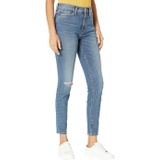 Hudson Jeans Barbara High-Rise Super Skinny Ankle Jeans in Victorious