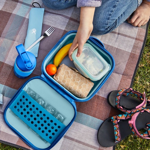  Hydro Flask Small Insulated Lunch Box - Kids