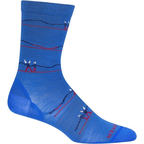  Icebreaker Lifestyle Ultralight Crew Backcountry Ski Sock - Women