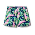 Janie and Jack Boys Bird Print Swim Short (Toddler/Little Kid/Big Kid)