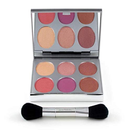  New Again by Jerome Alexander Blusher Palette & Brush, 6 Buildable & Blendable Micronized Powder Blushers for All Skin Tones