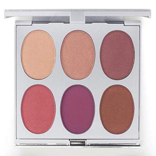  New Again by Jerome Alexander Blusher Palette & Brush, 6 Buildable & Blendable Micronized Powder Blushers for All Skin Tones